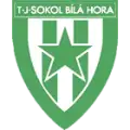 TJ Sokol Bílá hora